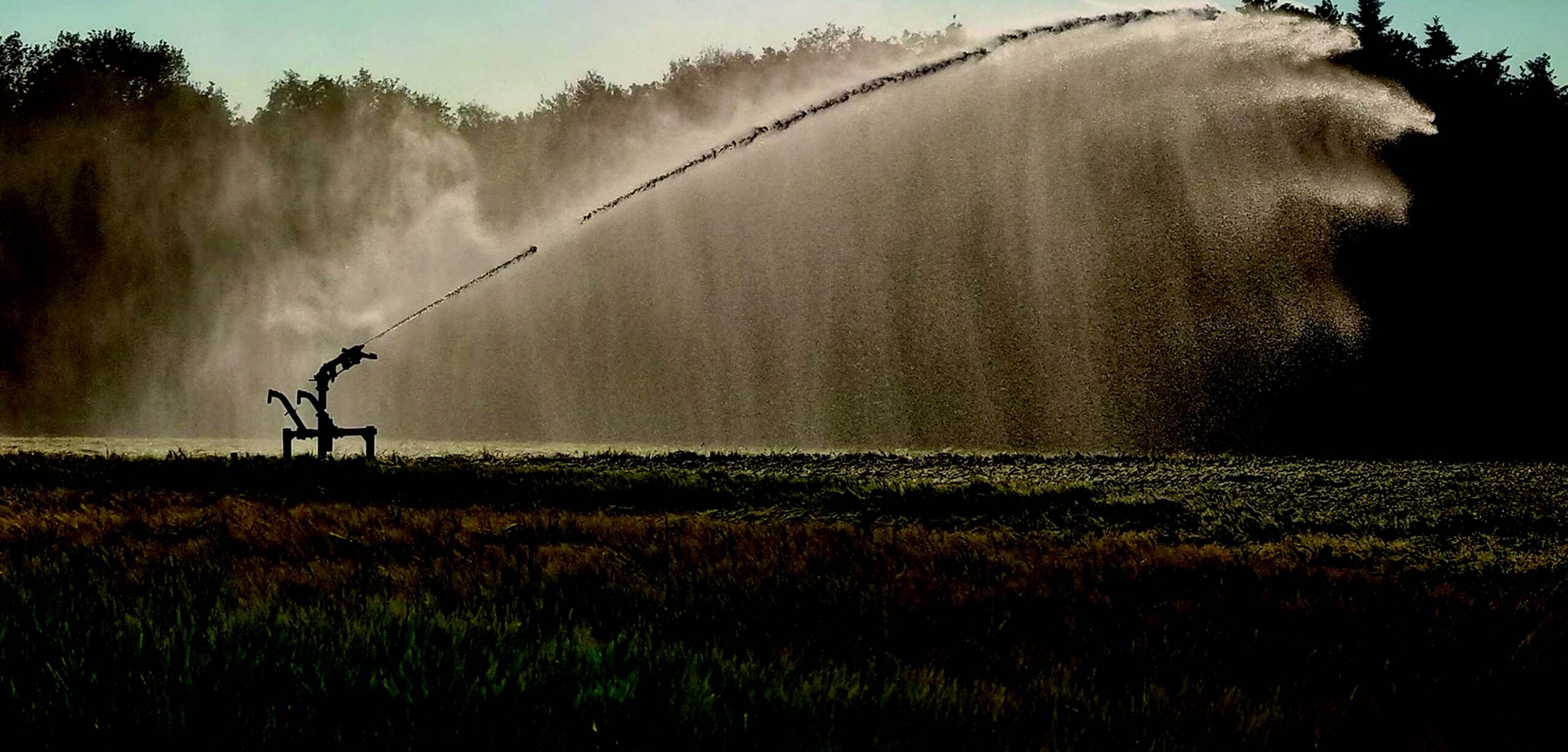 feldberegnung-scaled-aspect-ratio-1728-830